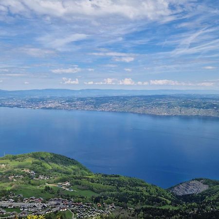 Appartement Tout Confort Montagne Et Lac Leman Thollon-les-Memises Buitenkant foto