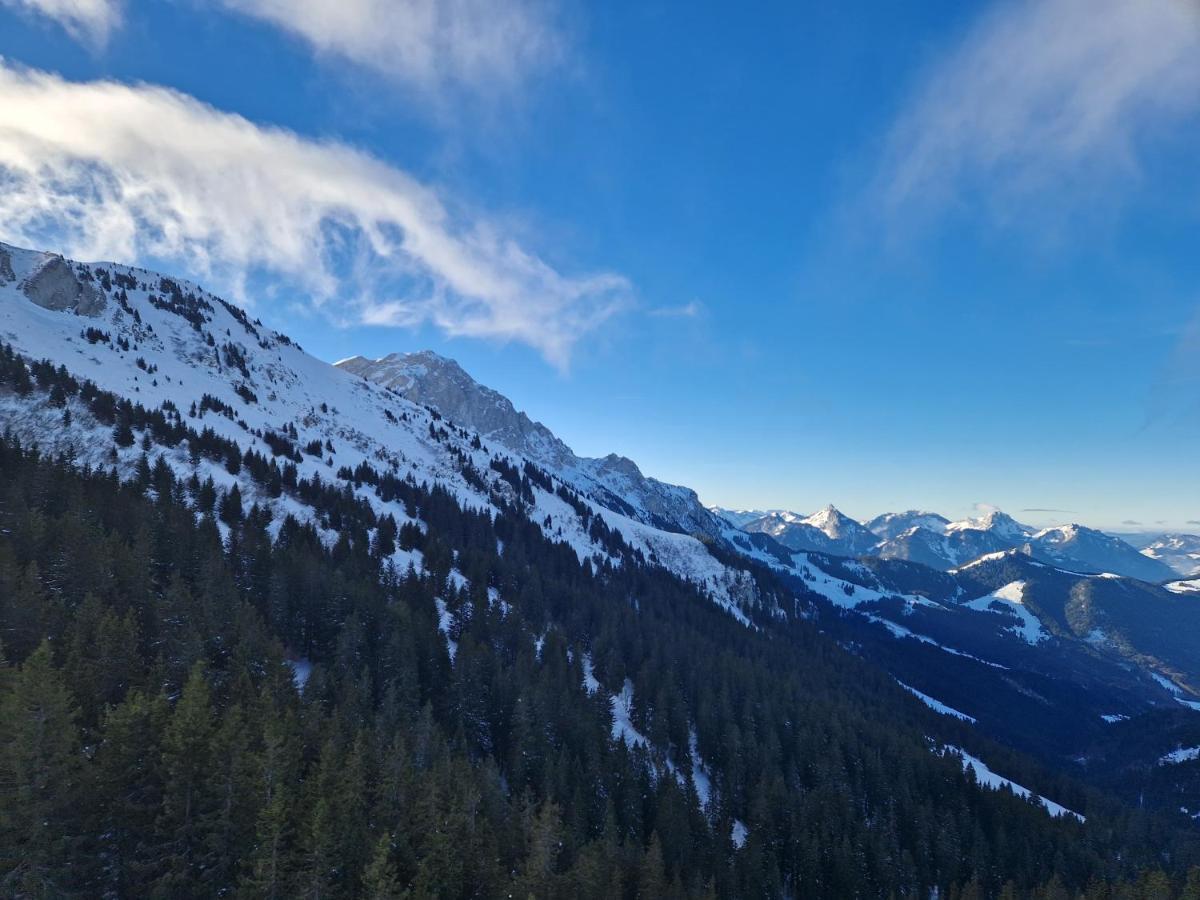 Appartement Tout Confort Montagne Et Lac Leman Thollon-les-Memises Buitenkant foto