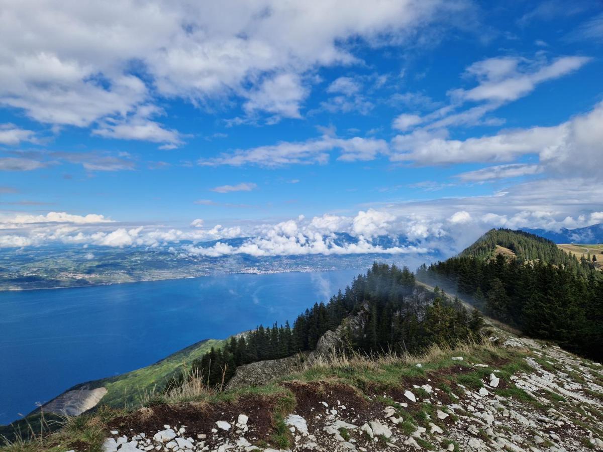 Appartement Tout Confort Montagne Et Lac Leman Thollon-les-Memises Buitenkant foto